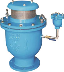 Combined air valve