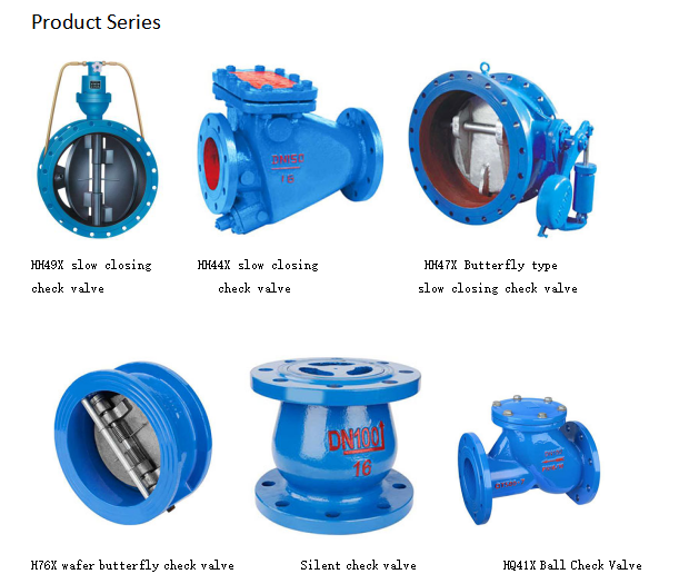 Rubber flap check valve-product series